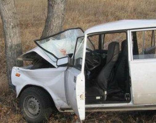В Чечне легковушка врезалась в дерево, погибли дети